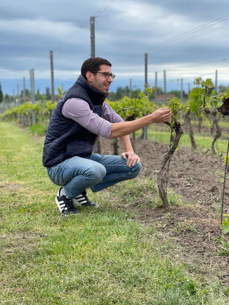Stevan Karić u vinogradu
